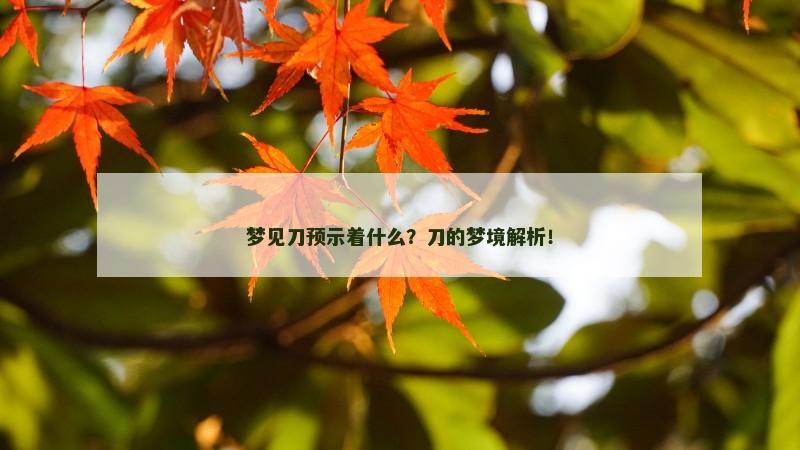 梦见刀预示着什么？刀的梦境解析！