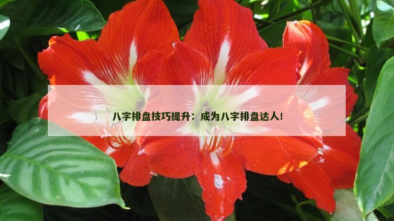 八字排盘技巧提升:成为八字排盘达人!