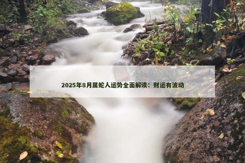 2025年8月属蛇人运势全面解读:财运有波动