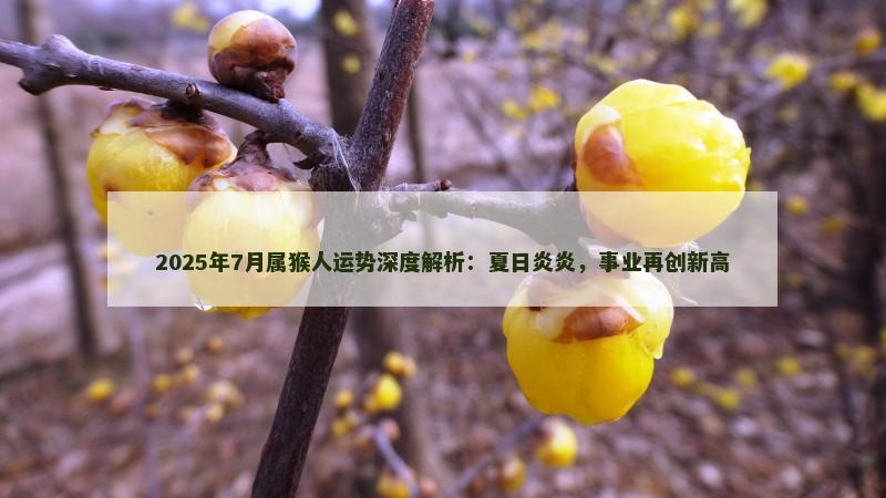 2025年7月属猴人运势深度解析:夏日炎炎,事业再创新高