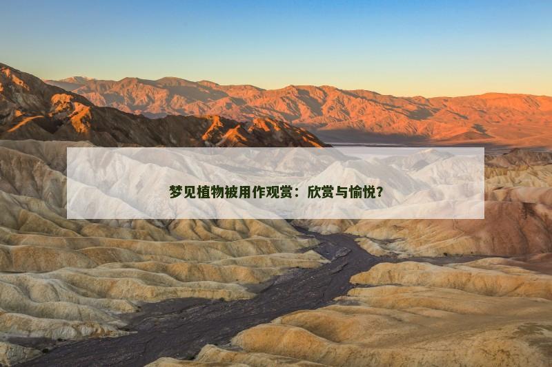 梦见植物被用作观赏:欣赏与愉悦?