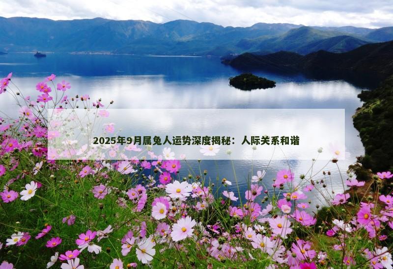 2025年9月属兔人运势深度揭秘:人际关系和谐