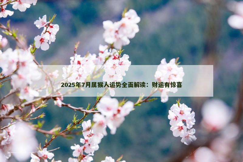2025年7月属猴人运势全面解读:财运有惊喜