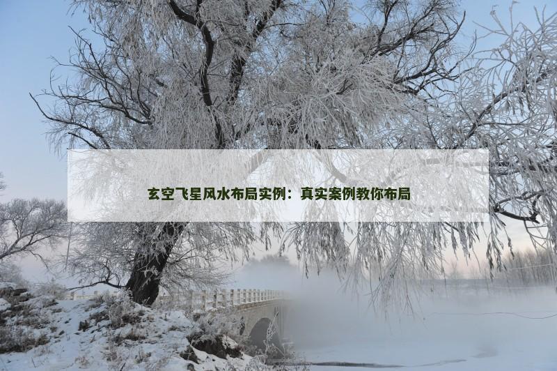 玄空飞星风水布局实例:真实案例教你布局