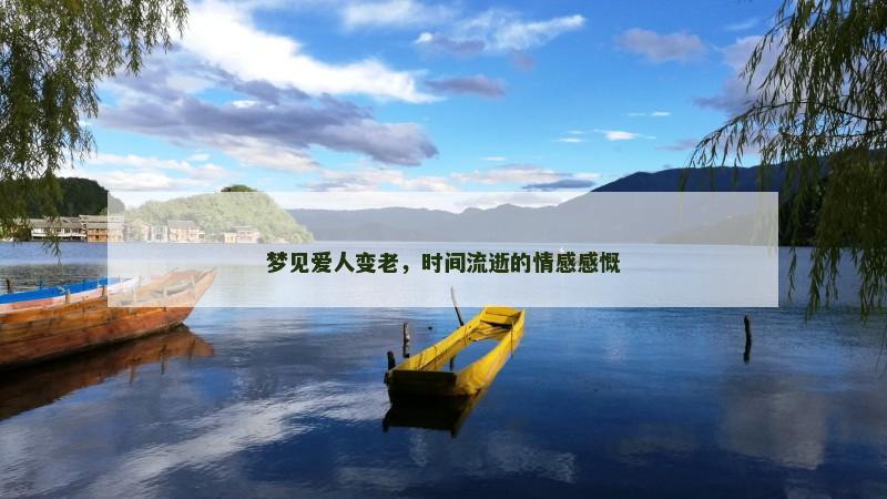 梦见爱人变老,时间流逝的情感感慨