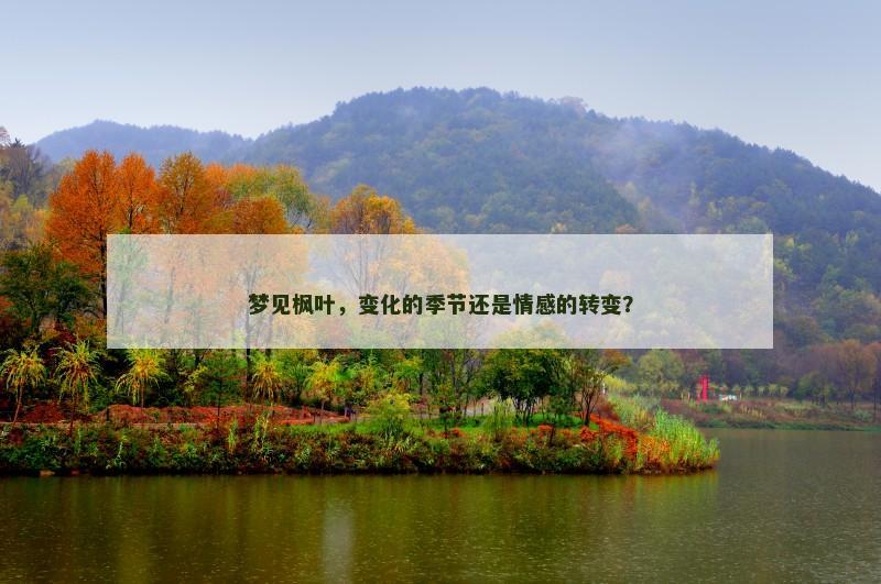 梦见枫叶,变化的季节还是情感的转变?
