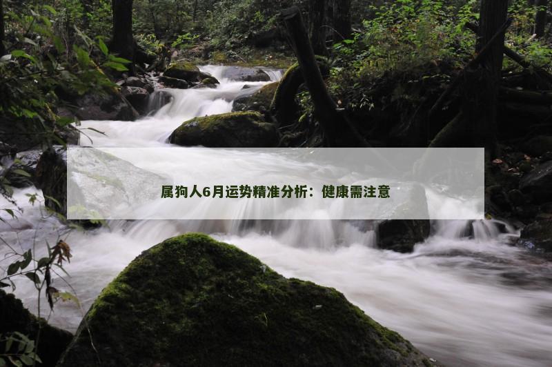 属狗人6月运势精准分析：健康需注意