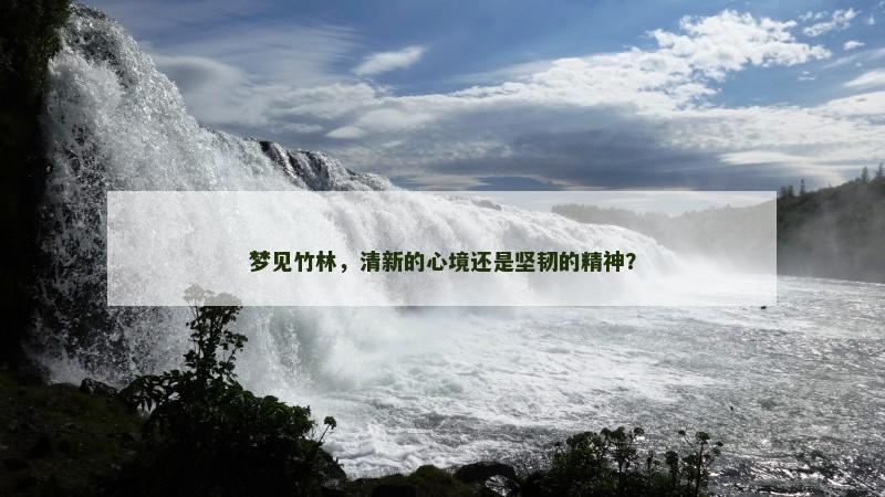 梦见竹林,清新的心境还是坚韧的精神?
