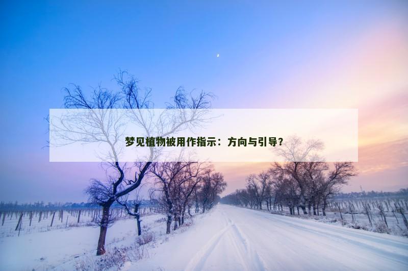 梦见植物被用作指示:方向与引导?