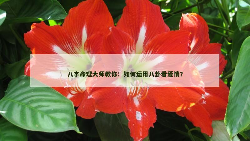 八字命理大师教你：如何运用八卦看爱情？