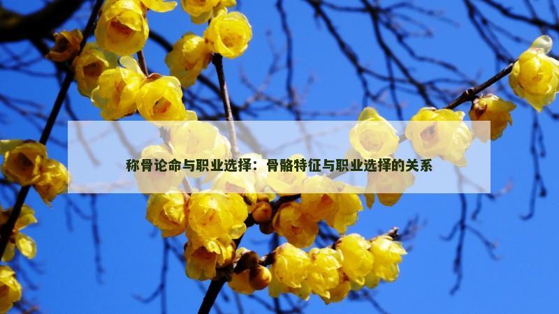 八字命格财富船(八字的财富层次决定人生财富程度)