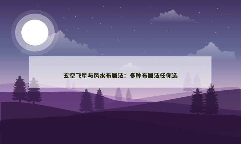 玄空飞星与风水布局法:多种布局法任你选