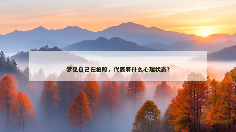 梦见自己在拍照,代表着什么心理状态?