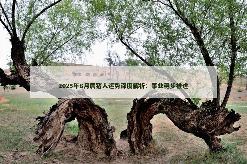 2025年8月属猪人运势深度解析:事业稳步推进