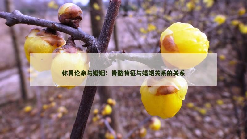 八字命格财富船(八字的财富层次决定人生财富程度)