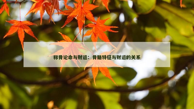 八字命格财富船(八字的财富层次决定人生财富程度)