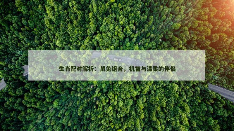 生肖配对解析：鼠兔组合，机智与温柔的伴侣