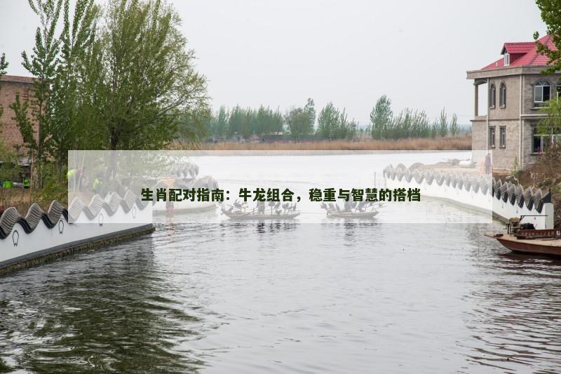生肖配对指南：牛龙组合，稳重与智慧的搭档