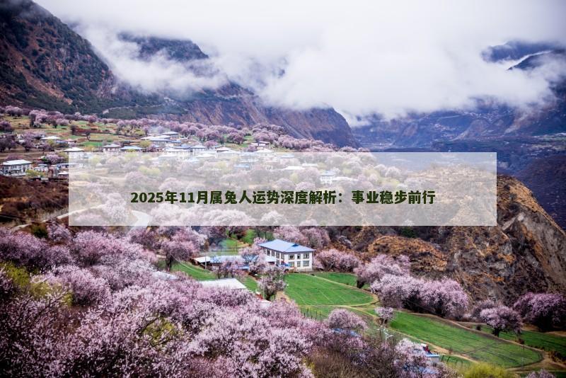 2025年11月属兔人运势深度解析:事业稳步前行