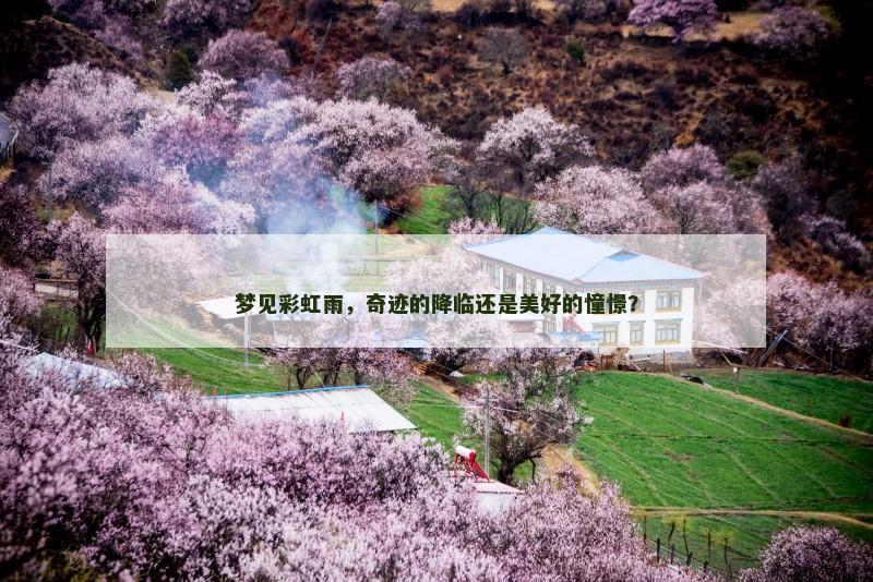 梦见彩虹雨,奇迹的降临还是美好的憧憬?