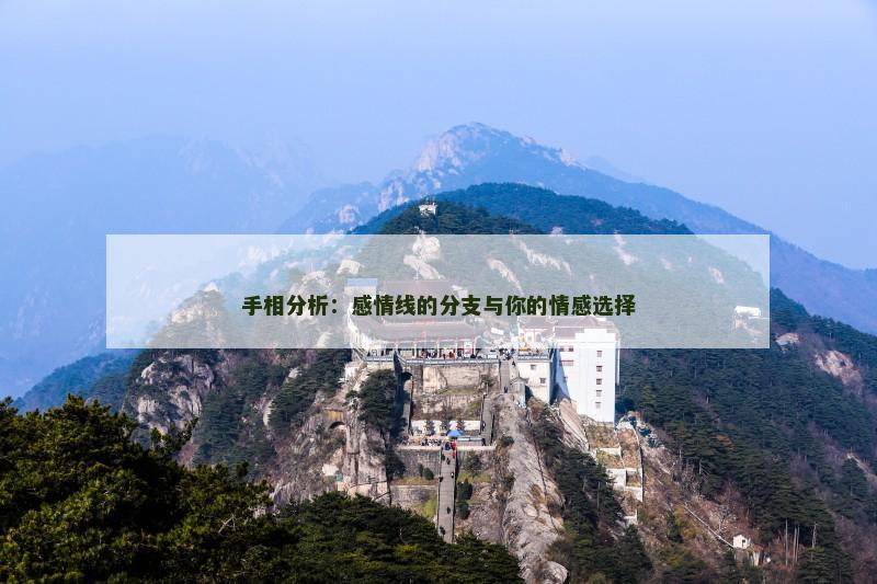 手相分析:感情线的分支与你的情感选择