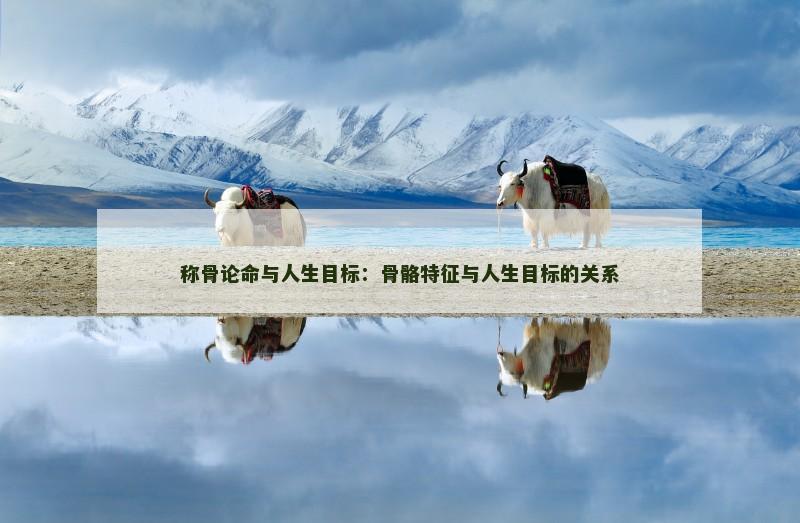 八字命格财富船(八字的财富层次决定人生财富程度)