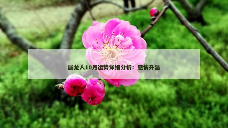 属龙人10月运势详细分析:感情升温