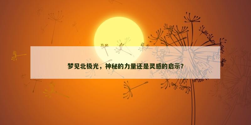 梦见北极光,神秘的力量还是灵感的启示?