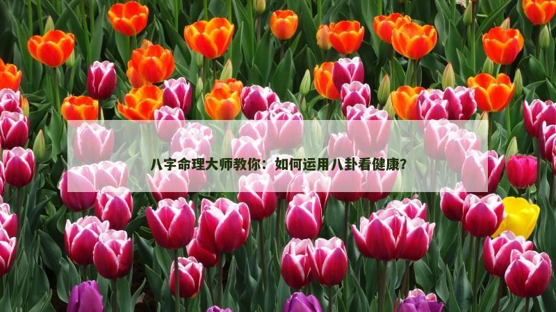 八字命理大师教你：如何运用八卦看健康？