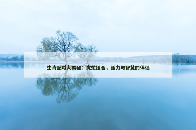 生肖配对大揭秘：虎蛇组合，活力与智慧的伴侣