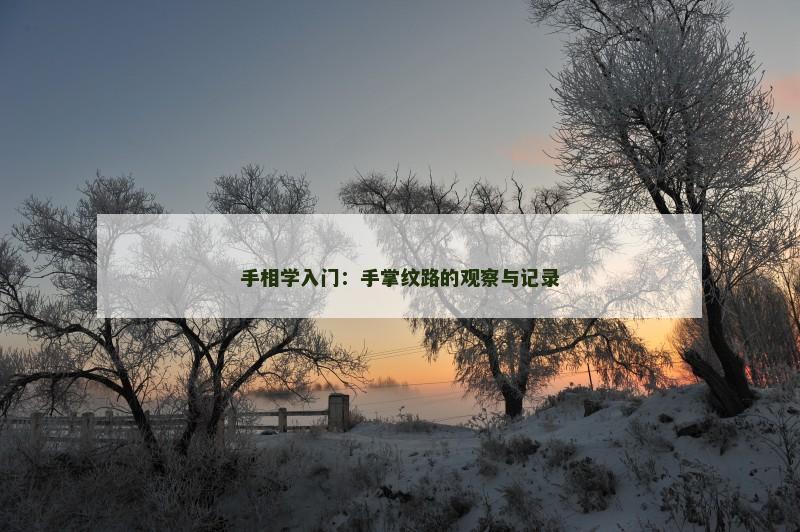 手相学入门:手掌纹路的观察与记录