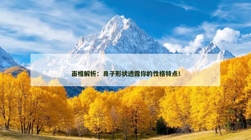 面相解析:鼻子形状透露你的性格特点!