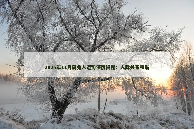 2025年11月属兔人运势深度揭秘:人际关系和谐