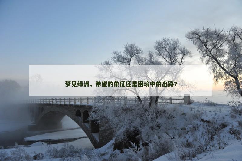 梦见绿洲，希望的象征还是困境中的出路？