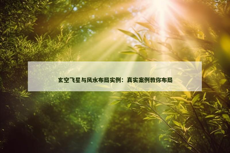 玄空飞星与风水布局实例：真实案例教你布局