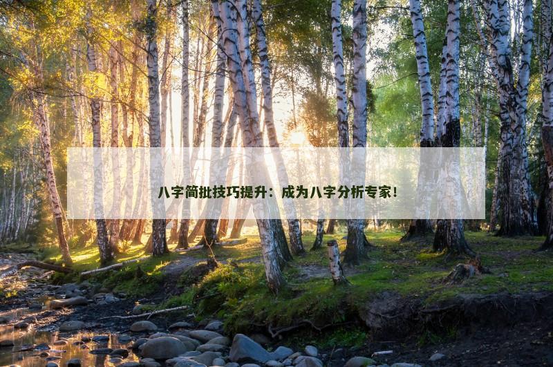 八字简批技巧提升：成为八字分析专家！