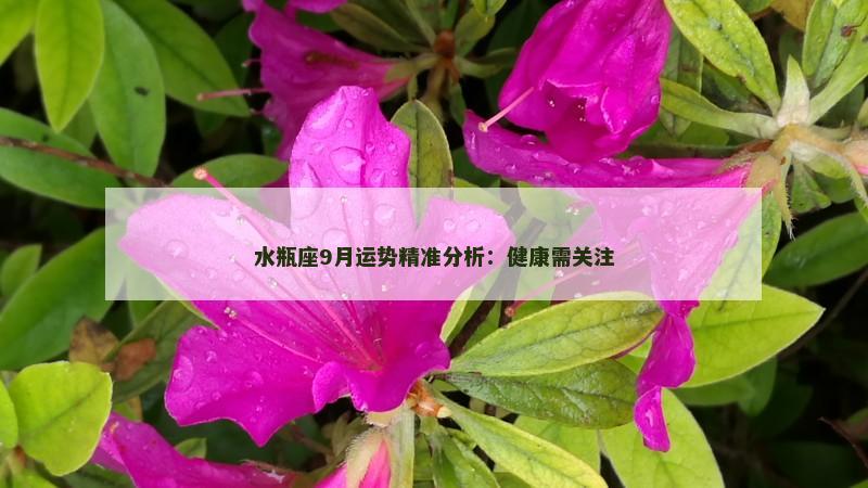 水瓶座9月运势精准分析：健康需关注