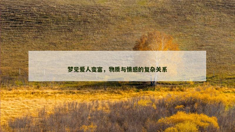 梦见爱人变富，物质与情感的复杂关系