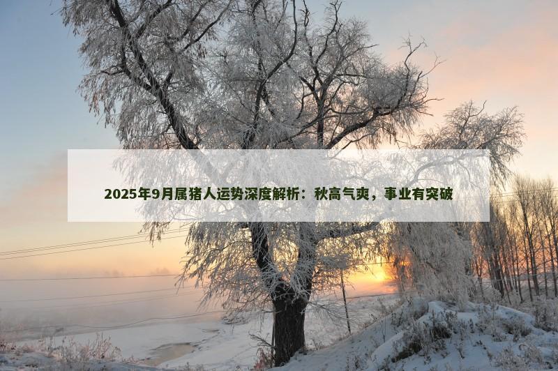 2025年9月属猪人运势深度解析：秋高气爽，事业有突破