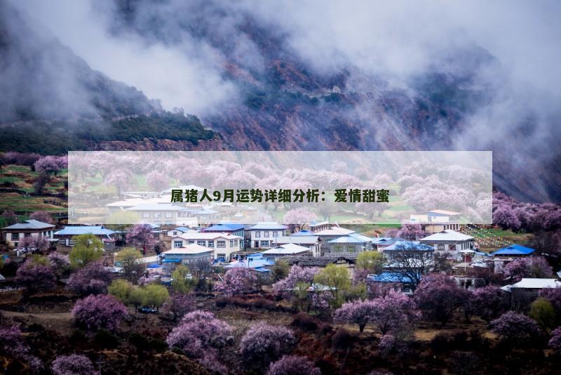 属猪人9月运势详细分析:爱情甜蜜
