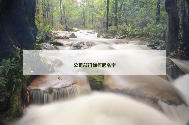公司部门如何起名字