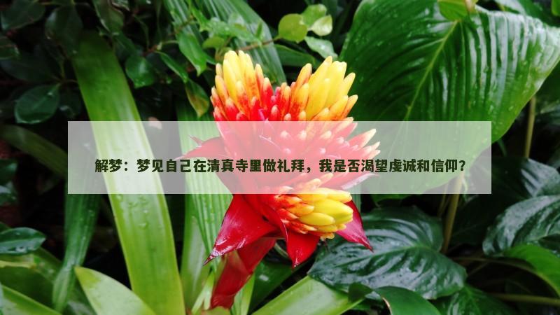 解梦：梦见自己在清真寺里做礼拜，我是否渴望虔诚和信仰？