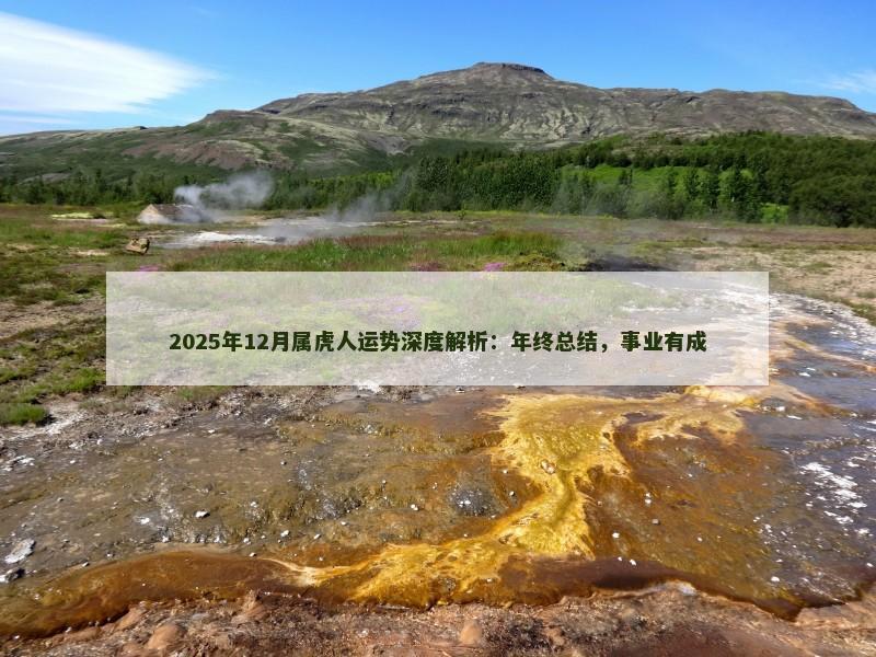 2025年12月属虎人运势深度解析:年终总结,事业有成
