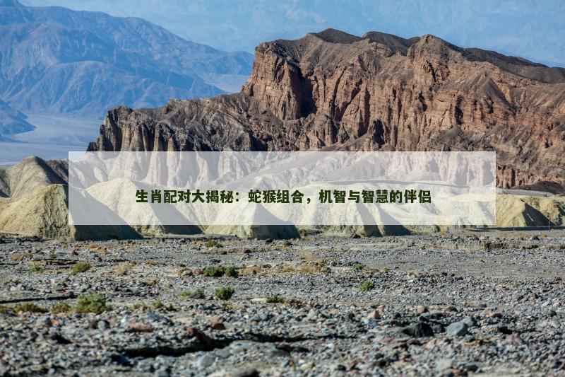 生肖配对大揭秘：蛇猴组合，机智与智慧的伴侣