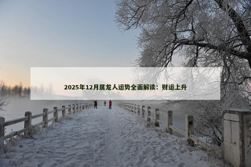 2025年12月属龙人运势全面解读:财运上升