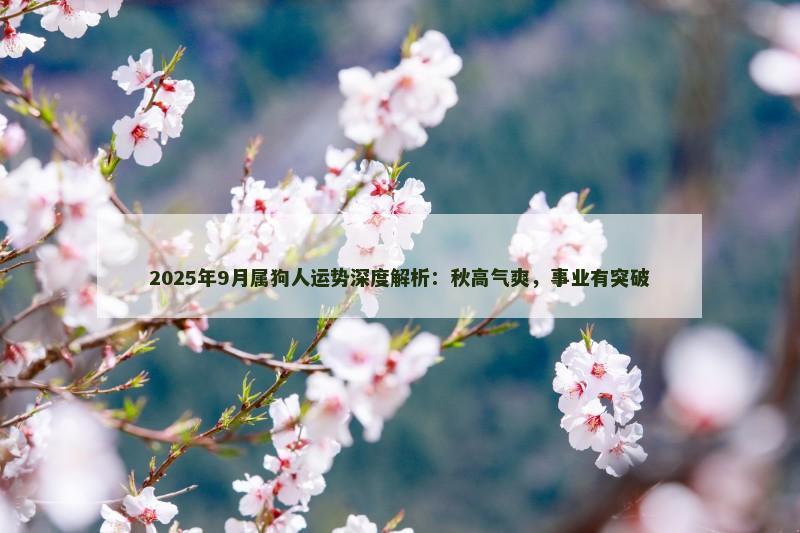 2025年9月属狗人运势深度解析:秋高气爽,事业有突破