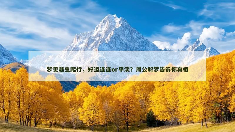 梦见瓢虫爬行,好运连连or平淡?周公解梦告诉你真相