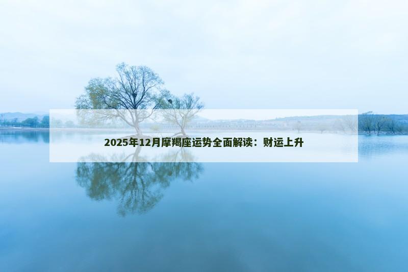 2025年12月摩羯座运势全面解读:财运上升