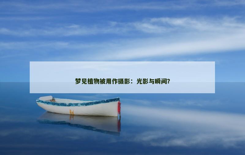 梦见植物被用作摄影:光影与瞬间?