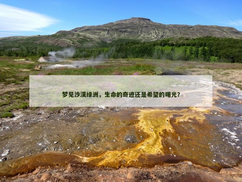 梦见沙漠绿洲,生命的奇迹还是希望的曙光?